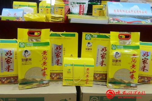 丰收合阳 最美秋色 农产品产销对接会成功召开，共绘农业新蓝图