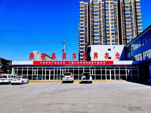 共享经济点亮乡村——府谷“府里府外”孵化园引领农产品新未来