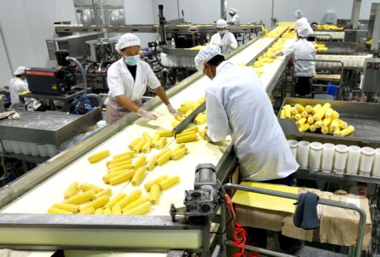 吉林省农嫂食品:玉米华丽转身 引&ldquo;岭&rdquo;产业振兴
