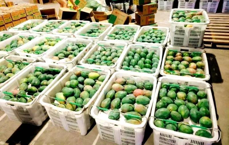 &ldquo;互联网+农业&rdquo;助推攀枝花西区优质农产品走向全国